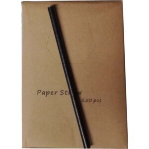 Paper Straw Black 250 Pcs 14 cm