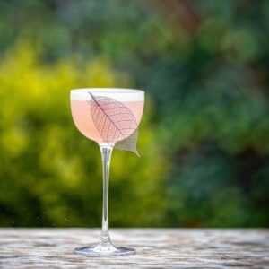 Pony 13,5 cl Nude Glass (6 Pcs)