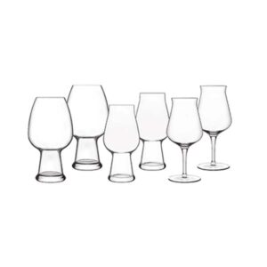 Luigi Bormioli Birrateque Beer Glass set (6 glasses)